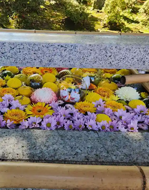 竹駒神社(宮城県)