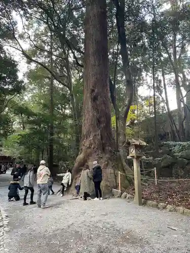 伊勢神宮内宮（皇大神宮）(三重県)