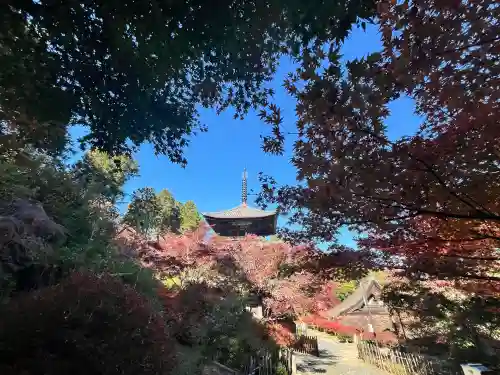 常樂寺(滋賀県)