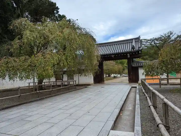 醍醐寺(京都府)