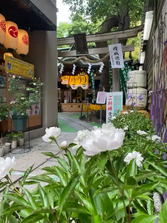 少彦名神社のその他建物