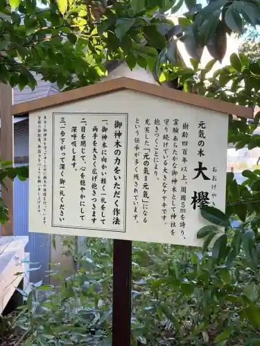 鎮守氷川神社の{uncategorized: "未分類", other: "その他", undefined: "問題あり", building: "その他建物", grave: "お墓", sacred_gate: "鳥居", guardian: "狛犬", statue: "像", buddha: "仏像", history: "歴史", nature: "自然", garden: "庭園", animal: "動物", pagoda: "塔", temizu: "手水舎", mountain_gate: "山門・神門", sanctuary: "本殿・本堂", subordinate: "末社・摂社", art: "芸術", scenery: "景色", jizo: "地蔵", ema: "絵馬", goshuin: "御朱印", omikuji: "おみくじ", items: "授与品その他", amulet: "お守り", goshuincho: "御朱印帳", eats: "食事", festival: "お祭り", votive_dance: "神楽", shichigosan: "七五三参", wedding: "結婚式", experience: "体験その他", initially: "初詣", around: "周辺", anti_infection: "感染症対策"}