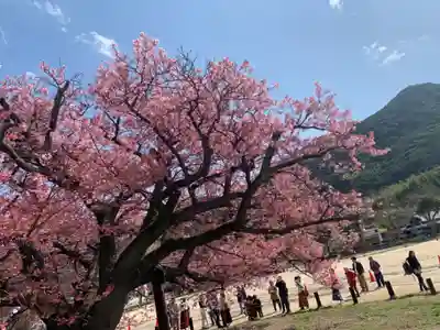 西福寺の手水舎