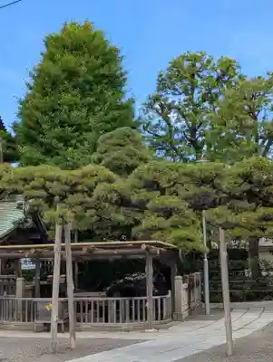 題経寺(柴又帝釈天)(東京都)