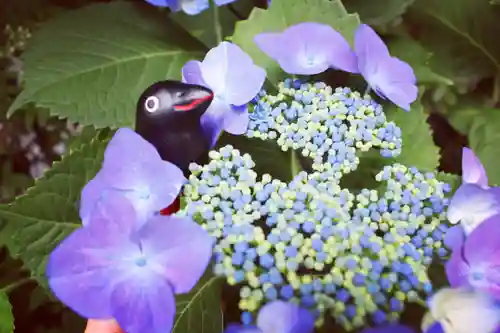 くまくま神社(導きの社 熊野町熊野神社)のその他建物