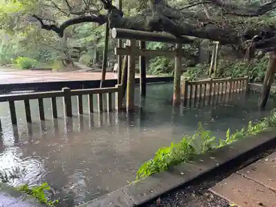 鹿島神宮(茨城県)