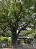 安楽寺の{uncategorized: "未分類", other: "その他", undefined: "問題あり", building: "その他建物", grave: "お墓", sacred_gate: "鳥居", guardian: "狛犬", statue: "像", buddha: "仏像", history: "歴史", nature: "自然", garden: "庭園", animal: "動物", pagoda: "塔", temizu: "手水舎", mountain_gate: "山門・神門", sanctuary: "本殿・本堂", subordinate: "末社・摂社", art: "芸術", scenery: "景色", jizo: "地蔵", ema: "絵馬", goshuin: "御朱印", omikuji: "おみくじ", items: "授与品その他", amulet: "お守り", goshuincho: "御朱印帳", eats: "食事", festival: "お祭り", votive_dance: "神楽", shichigosan: "七五三参", wedding: "結婚式", experience: "体験その他", initially: "初詣", around: "周辺", anti_infection: "感染症対策"}
