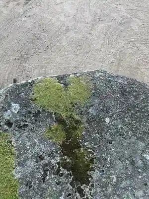 藤ヶ崎龍神社(滋賀県)
