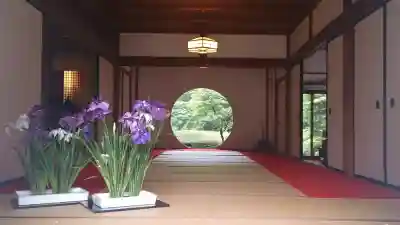 明月院の{uncategorized: "未分類", other: "その他", undefined: "問題あり", building: "その他建物", grave: "お墓", sacred_gate: "鳥居", guardian: "狛犬", statue: "像", buddha: "仏像", history: "歴史", nature: "自然", garden: "庭園", animal: "動物", pagoda: "塔", temizu: "手水舎", mountain_gate: "山門・神門", sanctuary: "本殿・本堂", subordinate: "末社・摂社", art: "芸術", scenery: "景色", jizo: "地蔵", ema: "絵馬", goshuin: "御朱印", omikuji: "おみくじ", items: "授与品その他", amulet: "お守り", goshuincho: "御朱印帳", eats: "食事", festival: "お祭り", votive_dance: "神楽", shichigosan: "七五三参", wedding: "結婚式", experience: "体験その他", initially: "初詣", around: "周辺", anti_infection: "感染症対策"}