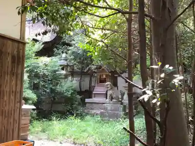 葛木倭文座天羽雷命神社の本殿・本堂