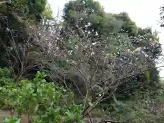 葛原岡神社(神奈川県)