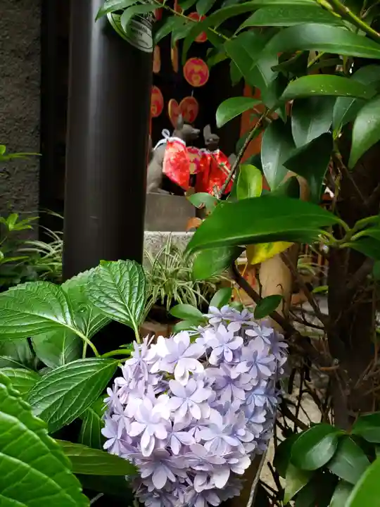 五十稲荷神社(栄寿稲荷神社)の自然