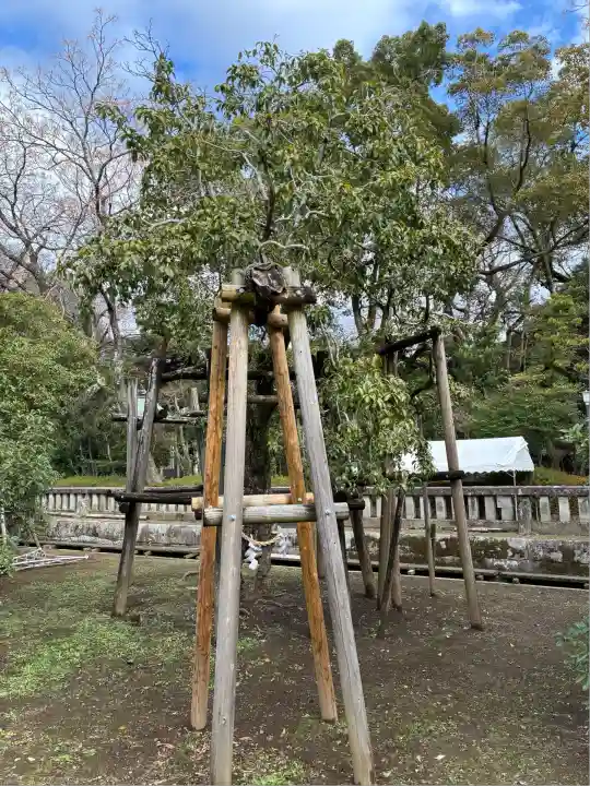 三嶋大社(静岡県)