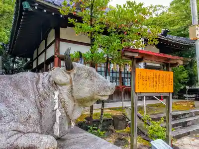 高牟神社(瀬古)の狛犬