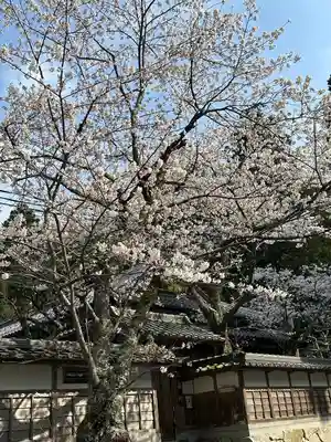佐伎治神社(福井県)