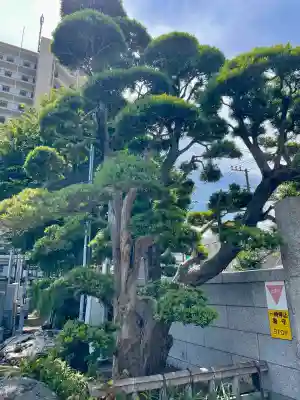 愛染院(千葉県)