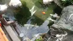 尾張猿田彦神社の庭園