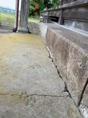加茂神社の動物