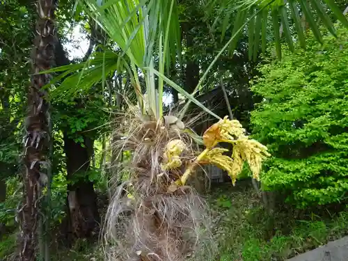 天台宗　長窪山　正覚寺の自然