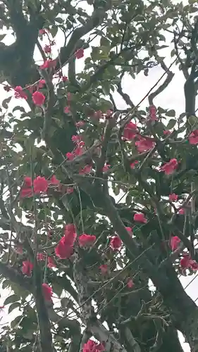 高木神社の自然