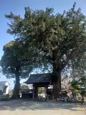 総世寺(神奈川県)