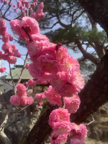 寳藏院の庭園