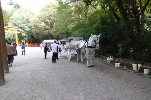 賀茂御祖神社（下鴨神社）の動物