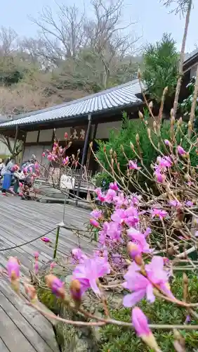 明月院の{uncategorized: "未分類", other: "その他", undefined: "問題あり", building: "その他建物", grave: "お墓", sacred_gate: "鳥居", guardian: "狛犬", statue: "像", buddha: "仏像", history: "歴史", nature: "自然", garden: "庭園", animal: "動物", pagoda: "塔", temizu: "手水舎", mountain_gate: "山門・神門", sanctuary: "本殿・本堂", subordinate: "末社・摂社", art: "芸術", scenery: "景色", jizo: "地蔵", ema: "絵馬", goshuin: "御朱印", omikuji: "おみくじ", items: "授与品その他", amulet: "お守り", goshuincho: "御朱印帳", eats: "食事", festival: "お祭り", votive_dance: "神楽", shichigosan: "七五三参", wedding: "結婚式", experience: "体験その他", initially: "初詣", around: "周辺", anti_infection: "感染症対策"}