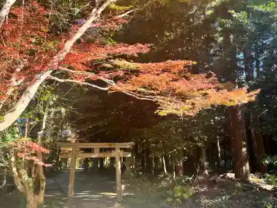 白山神社(滋賀県)