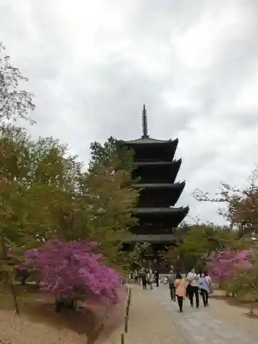 仁和寺の塔