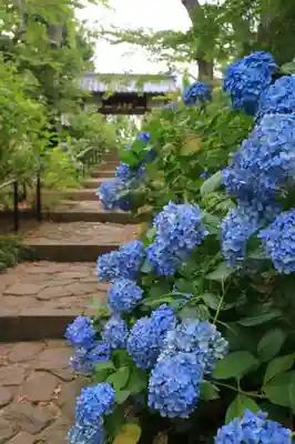 資福寺のその他建物