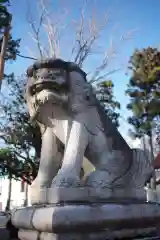 諏訪八幡神社の狛犬