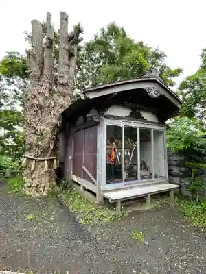 蛭子神社のお祭り