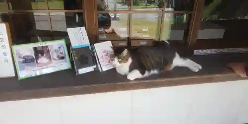 山梨縣護國神社の動物