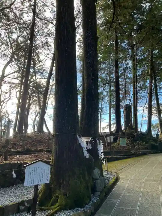 富士山東口本宮 冨士浅間神社の自然