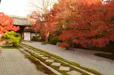 天授庵(京都府)