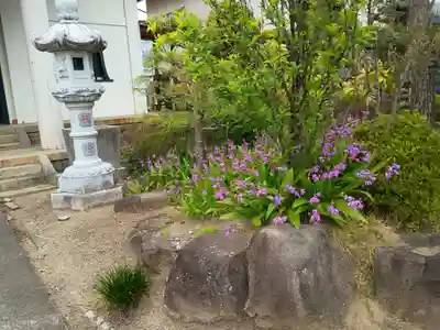 妙詮寺(山梨県)