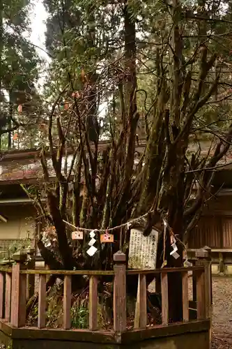 幣立神宮(熊本県)