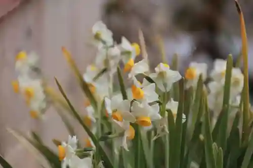 御嶽山神社の自然