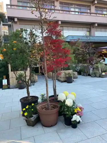 東京大神宮の庭園