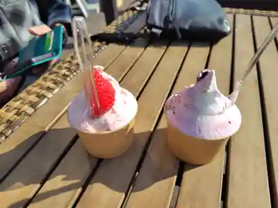 日向寺 (栃木県)