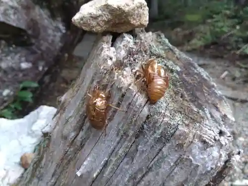 岩屋神社（妙見神社　祖師野八幡宮摂社）(岐阜県)