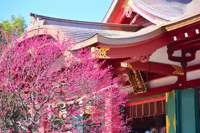 亀戸天神社(東京都)