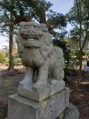 常国神社の狛犬