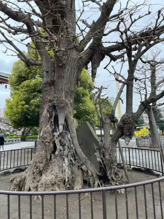 浅草寺(東京都)