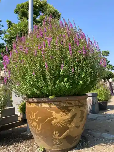 要法寺(神奈川県)