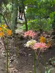 横浜　西方寺(神奈川県)