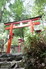 貴船神社結社(京都府)