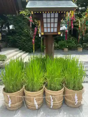 東京大神宮のその他建物