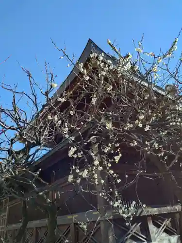 湯島天満宮(東京都)